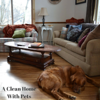 Clean Home with Pets