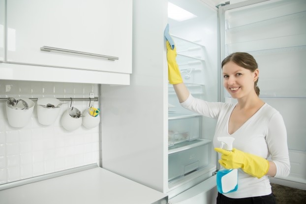 Refrigerator Cleaning
